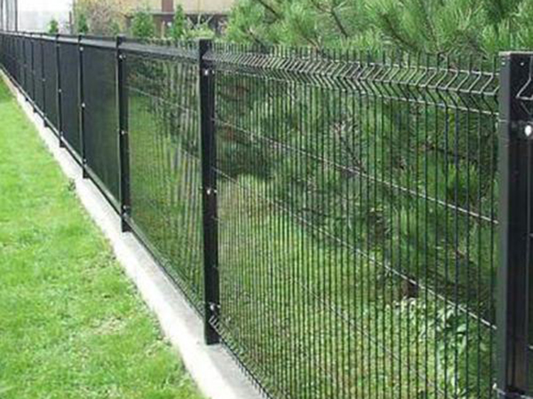 鐵絲網(wǎng)隔離柵圖片2