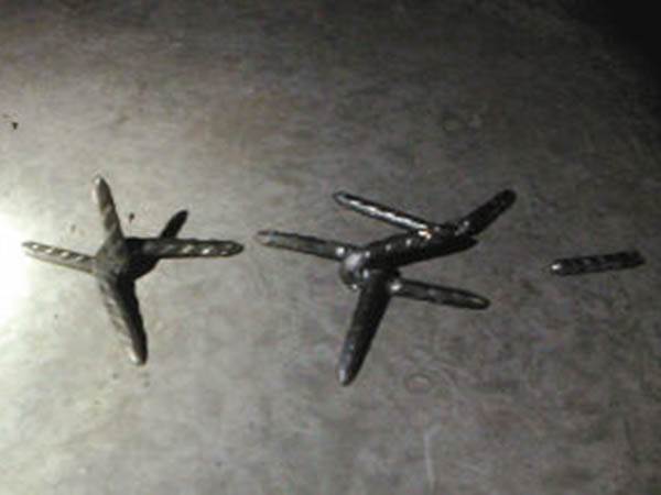 安徽鐵蒺藜圖片2