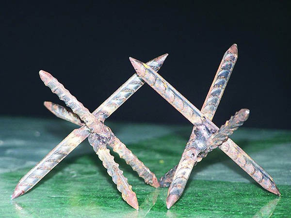 安徽鐵蒺藜圖片3