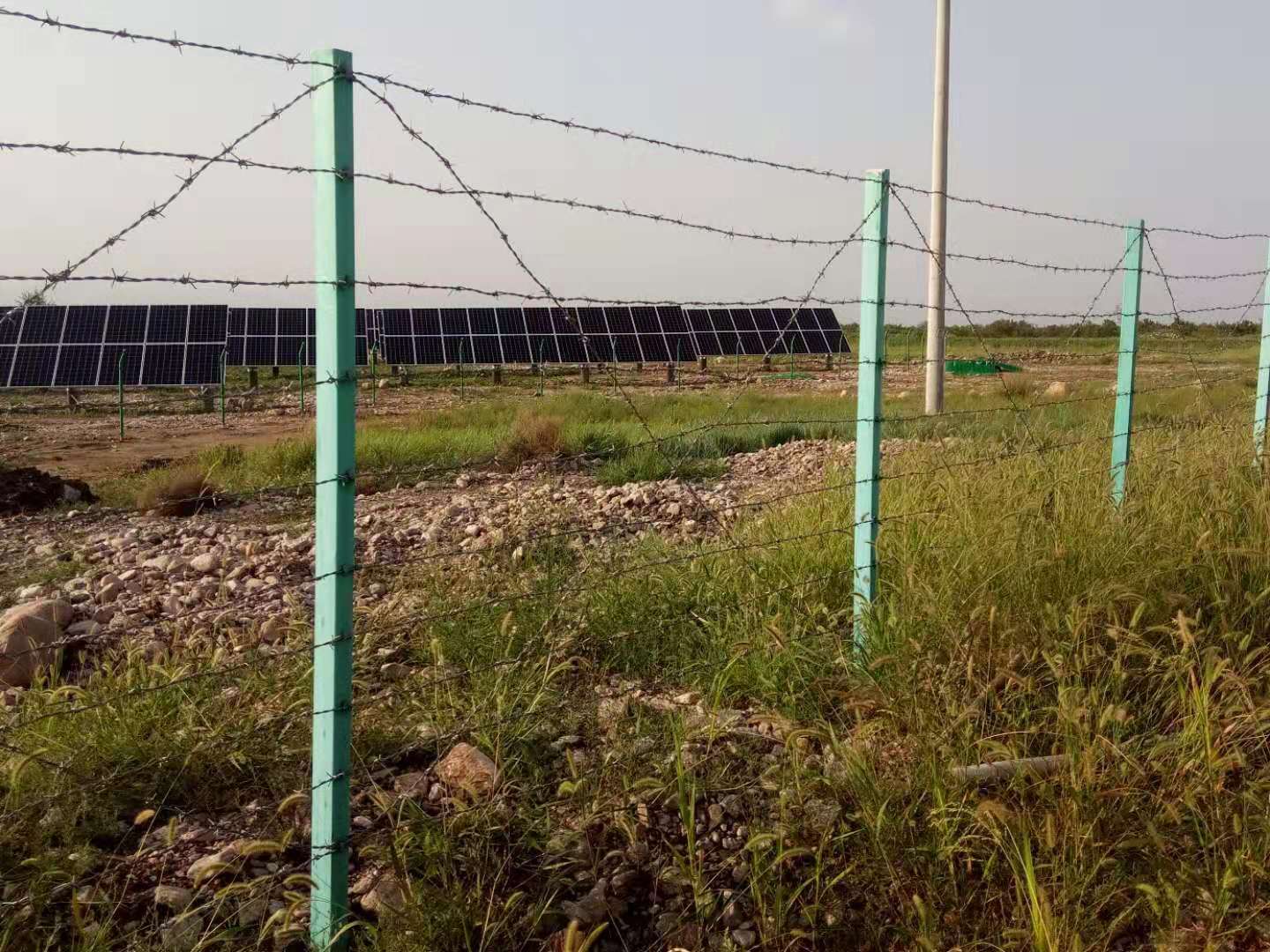 刺繩護(hù)欄網(wǎng)圖片4