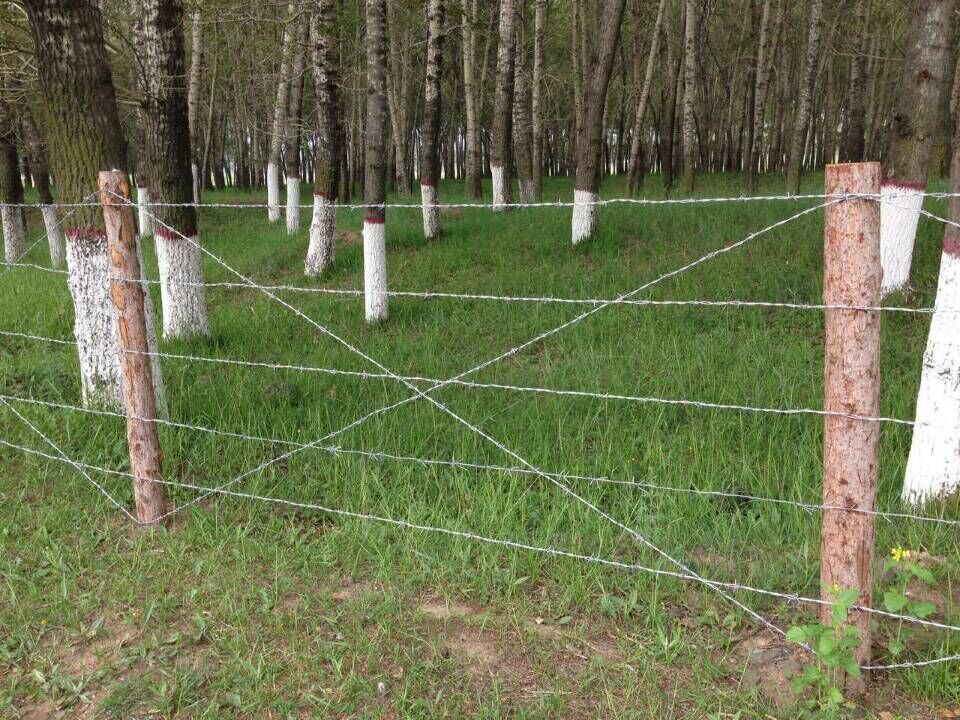 刺繩護(hù)欄網(wǎng)圖片5