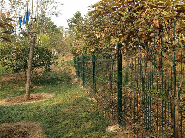 小區(qū)隔離網(wǎng)圖片4