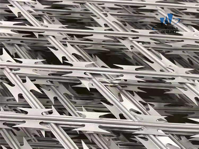 刀片刺網(wǎng)護(hù)欄圖片2