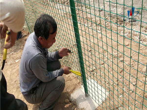 養(yǎng)殖圍欄網(wǎng)圖片1